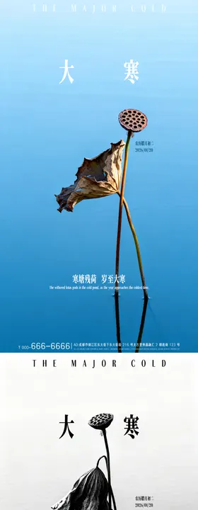 大寒风景荷塘意境海报