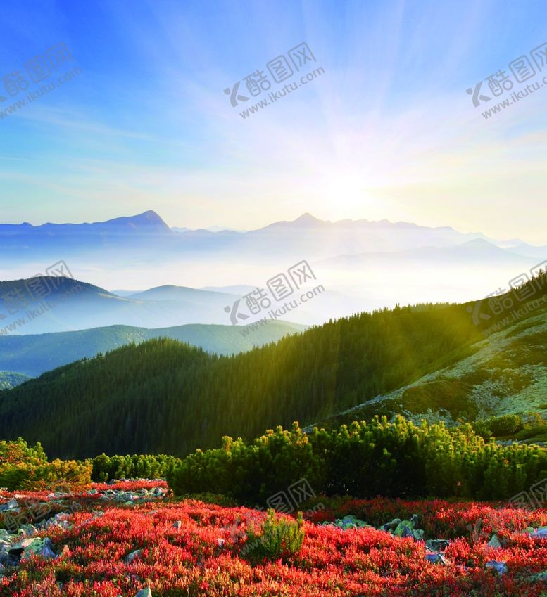 编号：29857809280646377781【酷图网】源文件下载-茶文化