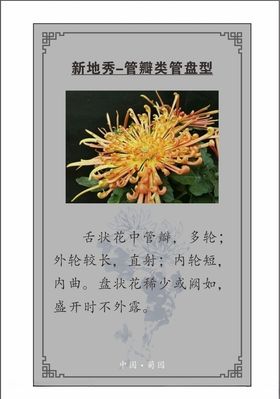 植物卡片