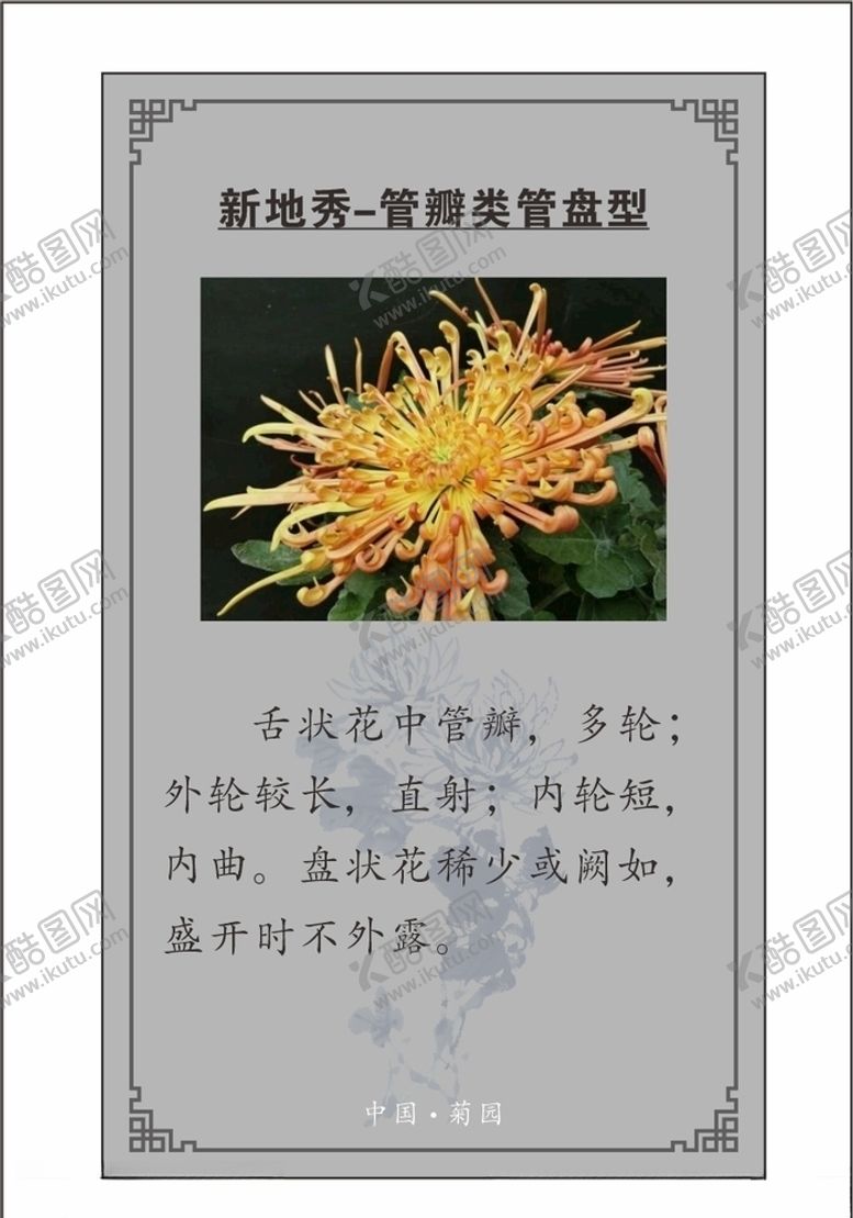 编号：60219006240219508840【酷图网】源文件下载-植物卡片