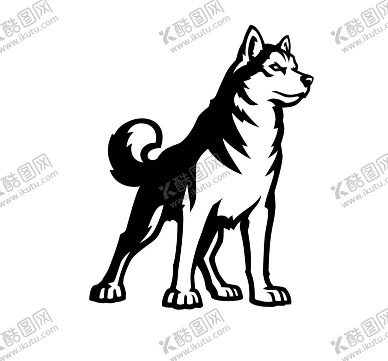 编号：35606305061524302266【酷图网】源文件下载-哈士奇