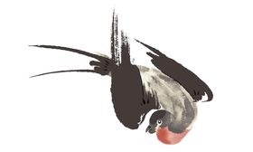 燕子素材