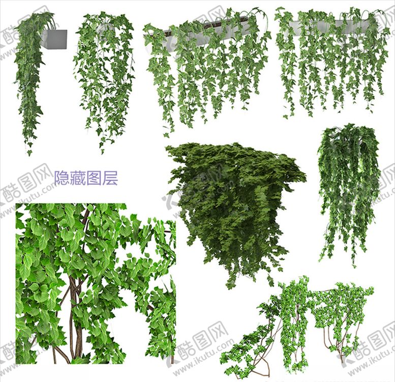 编号：47893107021613009191【酷图网】源文件下载-攀爬植物