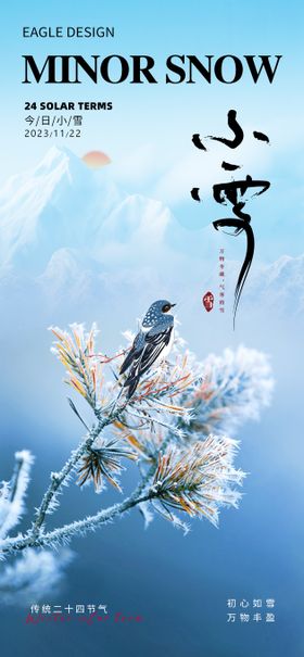 医美小雪大雪节气海报