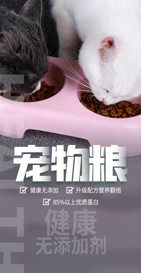 宠物  狗粮   猫粮