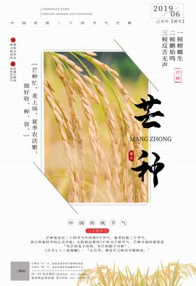 芒种芒种海报二十四节气