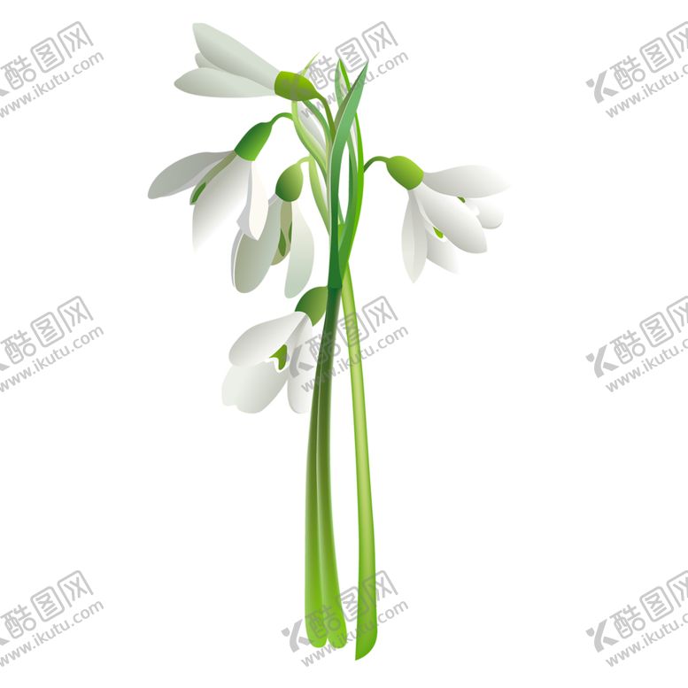 编号：60552505190103118261【酷图网】源文件下载-鲜花素材
