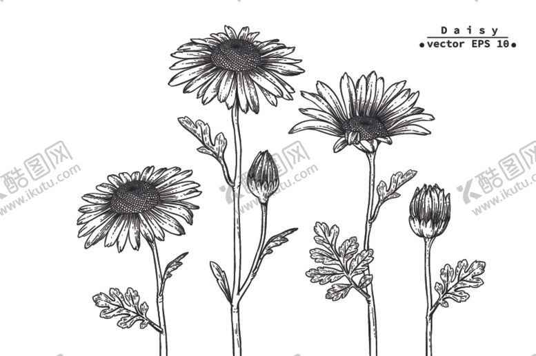 编号：67710309100217414712【酷图网】源文件下载-花卉花蕊