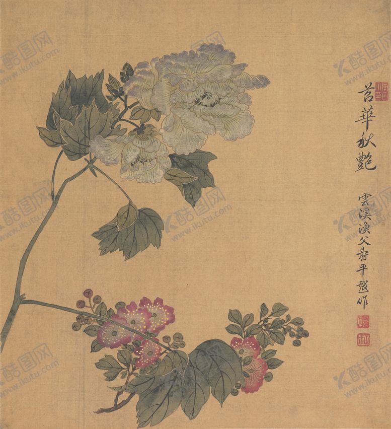 清代恽寿平花草绘画工笔古卉写生