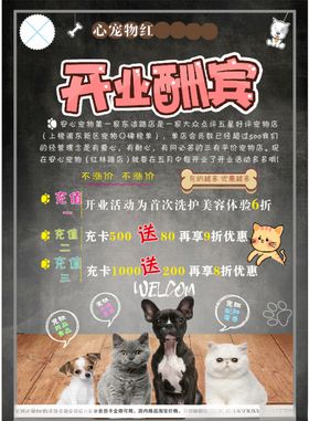宠物店海报 开业海报