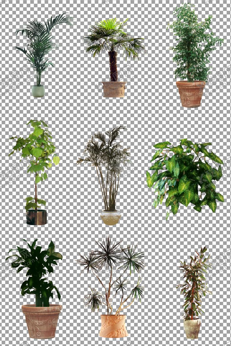 编号：17241610060448357960【酷图网】源文件下载-绿色植物盆栽