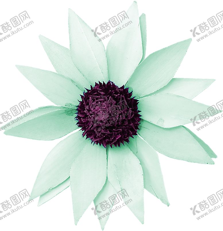 编号：39817309210806221917【酷图网】源文件下载-鲜花素材