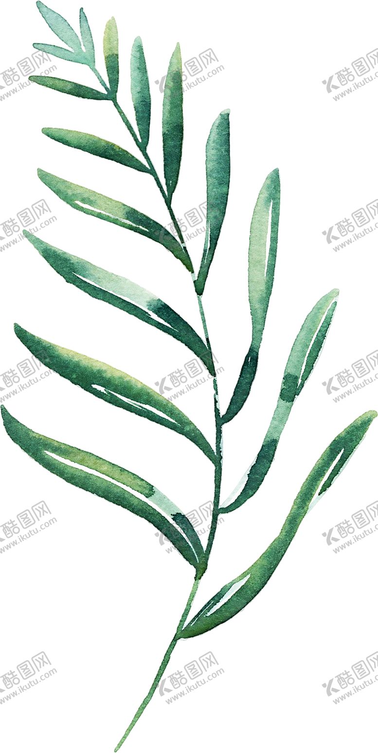 编号：70899009161824167771【酷图网】源文件下载-北欧小清新植物装饰