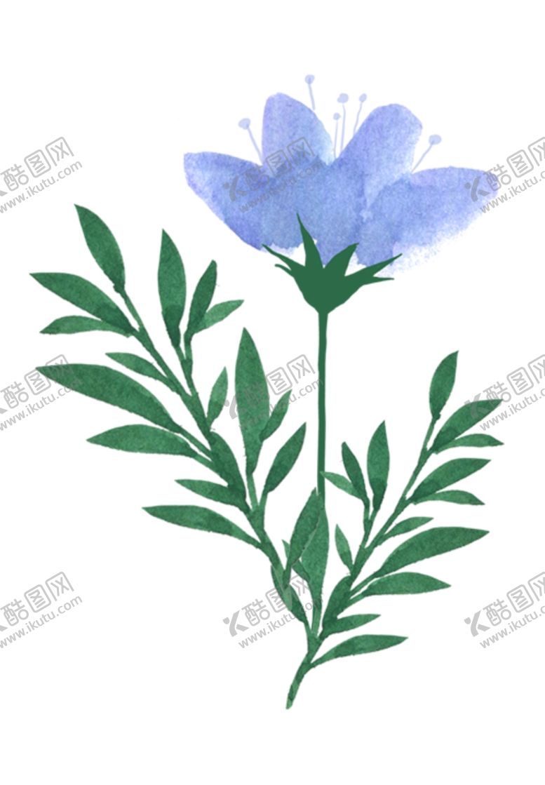 编号：99005005031112045502【酷图网】源文件下载-蓝色鲜花