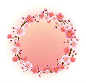 樱花