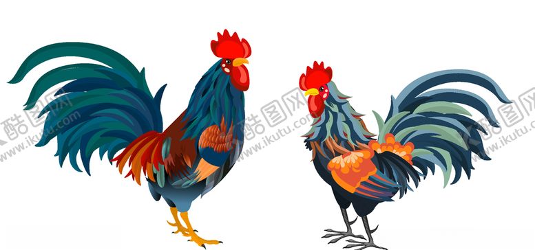 编号：32223109140627428337【酷图网】源文件下载-公鸡矢量素材