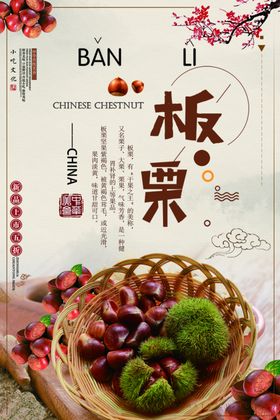 板栗