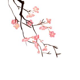 花朵浪漫梅花图片