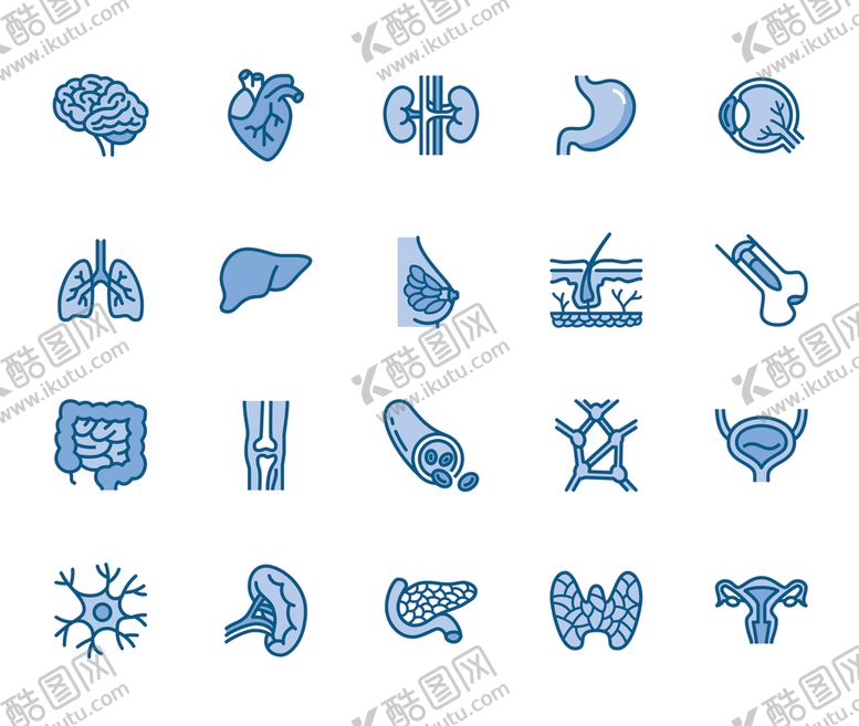 编号：67425209290405169135【酷图网】源文件下载-医疗器官矢量图形