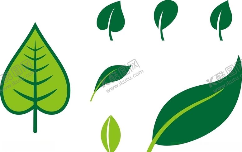 编号：92690310100831153282【酷图网】源文件下载-叶子