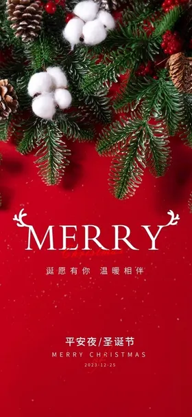 圣诞节海报吊旗宣传单广告设计