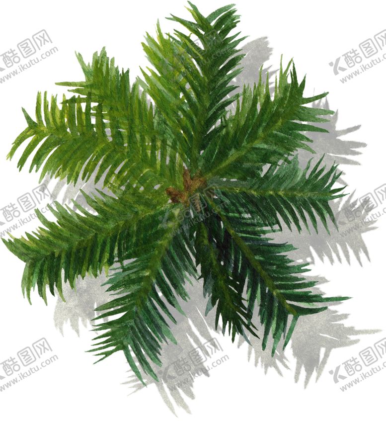 编号：52638804281653538746【酷图网】源文件下载-手绘植物