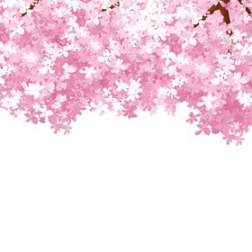 樱花装饰