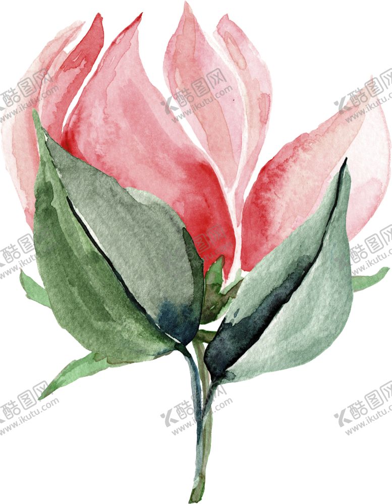 编号：59925309280150088198【酷图网】源文件下载-欧式彩绘植物