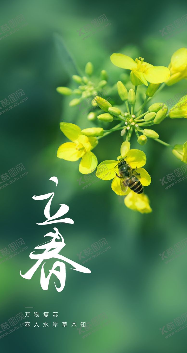 编号：51503504050914582746【酷图网】源文件下载-立春