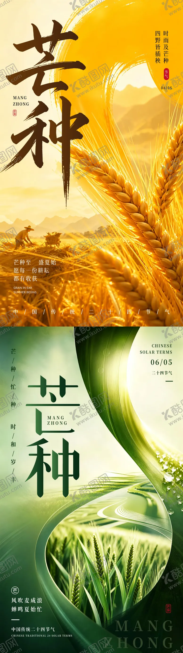 编号：34579305302354516152【酷图网】源文件下载-暖金写实风芒种节气海报绿色海报