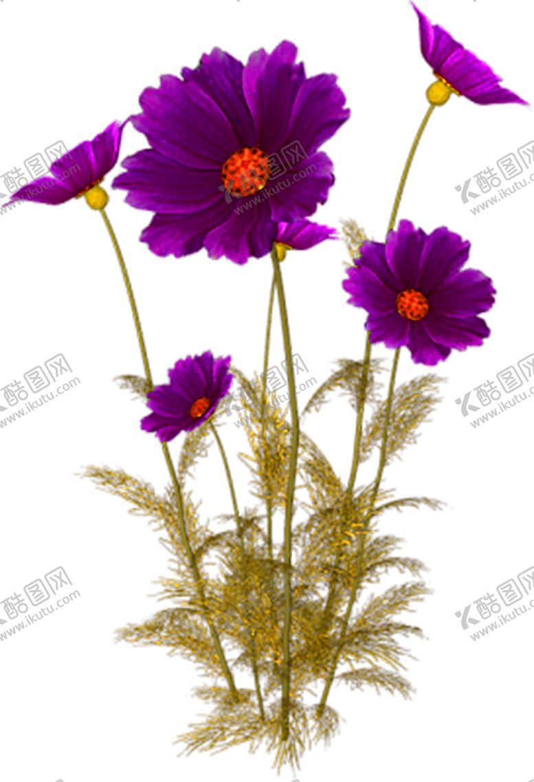 编号：44140207011440053019【酷图网】源文件下载-鲜花素材