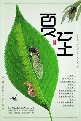 夏至海报地产节气手绘