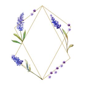 薰衣草边框
