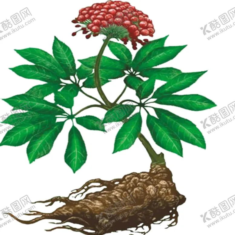 编号：50404606180611274374【酷图网】源文件下载-草本植物药材