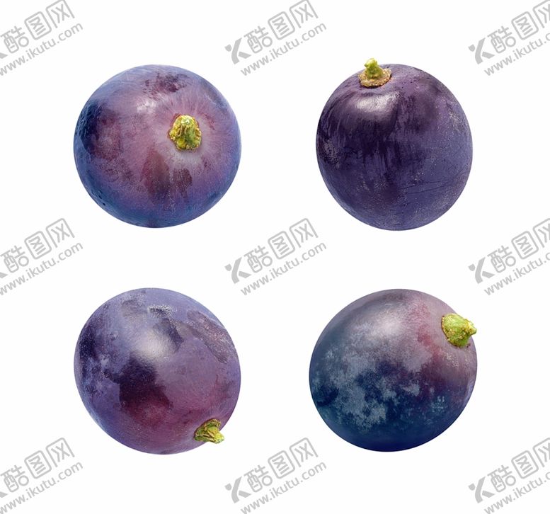 编号：77792202051751074816【酷图网】源文件下载-水果