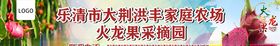 火龙果采摘园