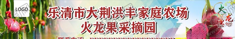 编号：32056907070357102271【酷图网】源文件下载-火龙果采摘园