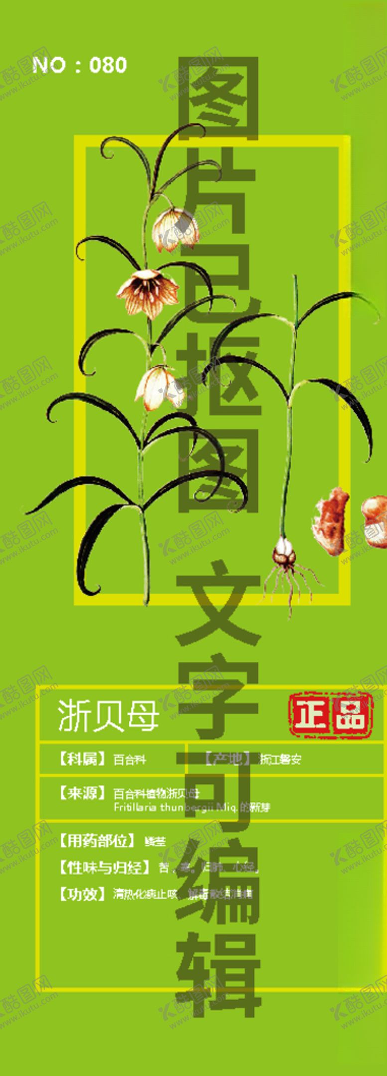 编号：50943405121312079455【酷图网】源文件下载-浙贝母