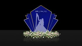 演奏区竖琴表演表演区氛围