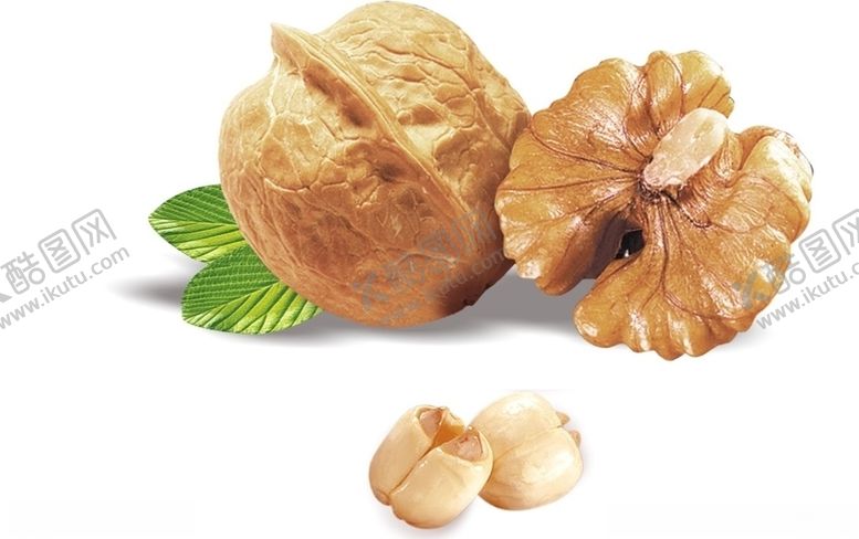 编号：46490809280333441018【酷图网】源文件下载-核桃