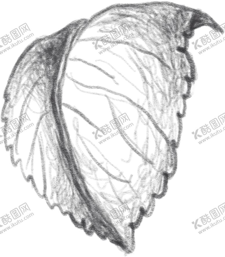 编号：36667607062202552944【酷图网】源文件下载-玫瑰花素叶片描绘画