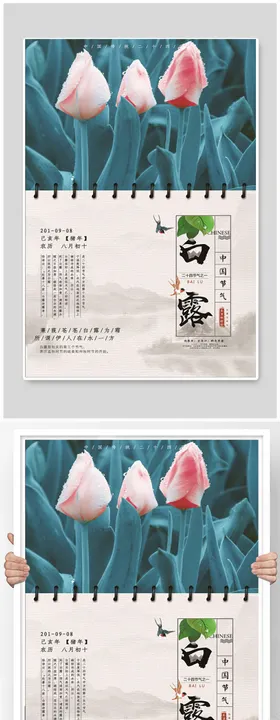 白露节气清新海报
