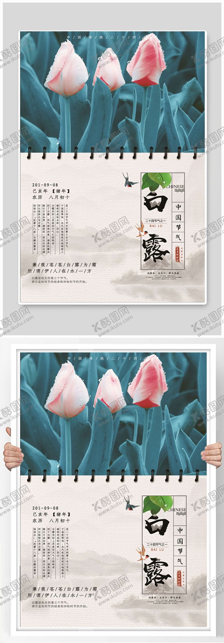 编号：23206206232023168448【酷图网】源文件下载-白露节气清新海报