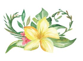 水彩植物花朵图案