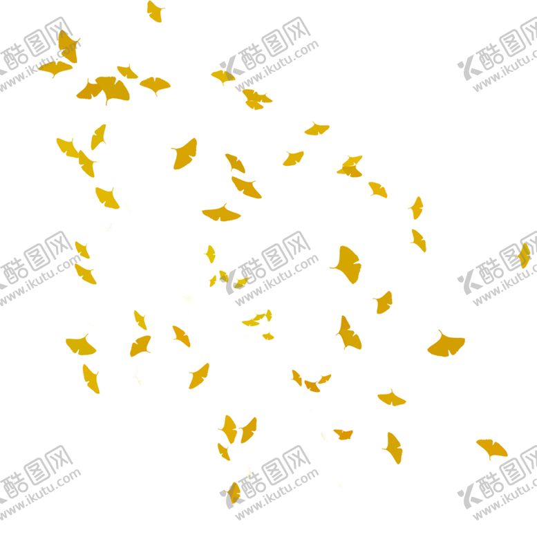 编号：84129405160337368541【酷图网】源文件下载-秋天银杏叶