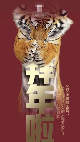 拜年海报