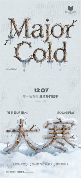 大寒节气木质简约海报