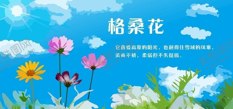 格桑花蓝色蓝天白云海报小清新