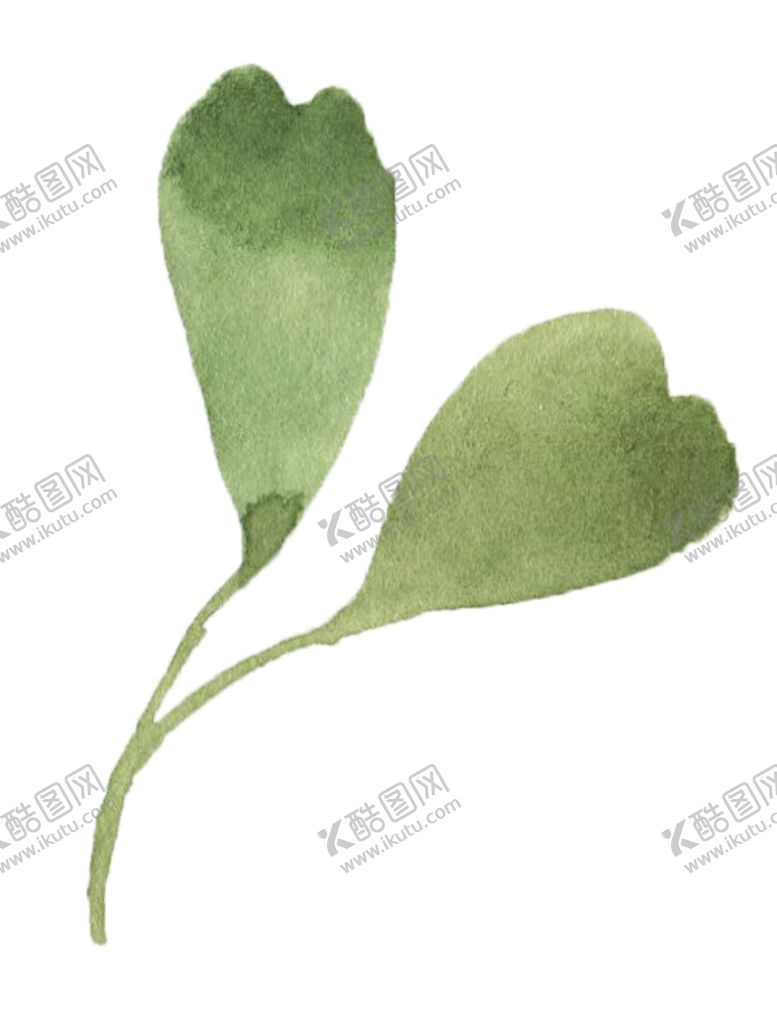 编号：52902405060621332054【酷图网】源文件下载-手绘植物花卉