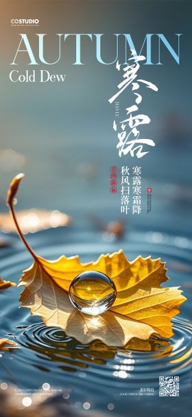 寒露节气移动端海报